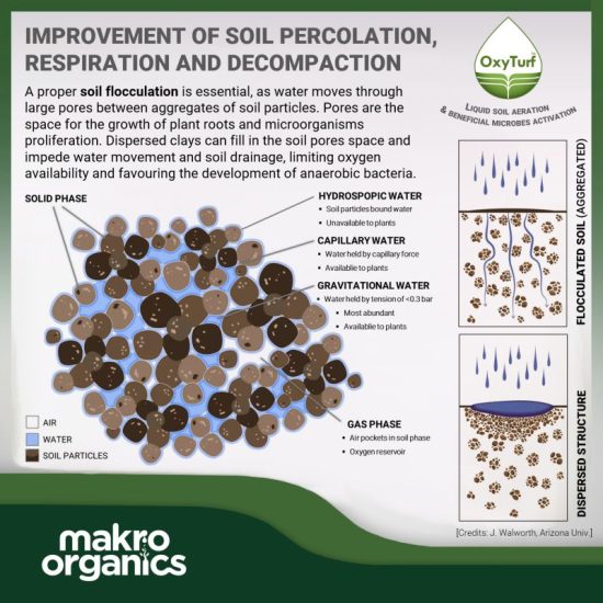 Macroorganics 1
