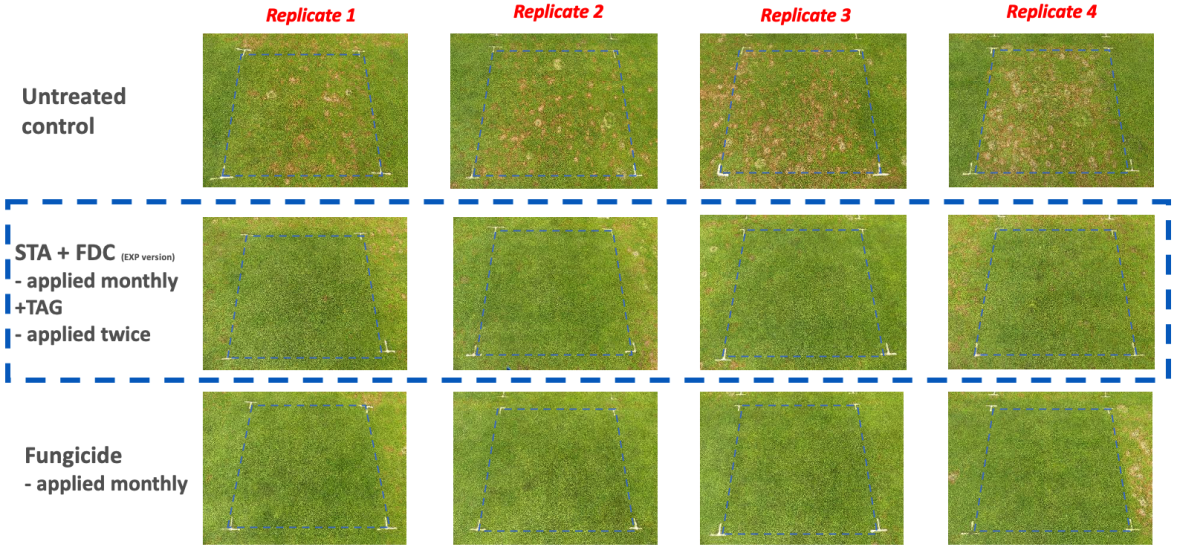 Results-6-Disease-Cover-05.04.2024-Pictures01